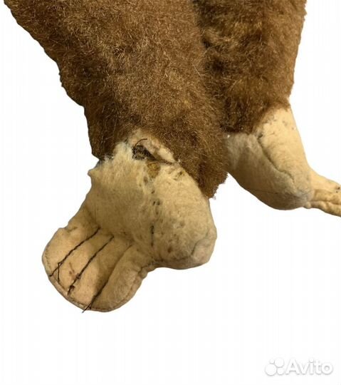 Обезьяна гдр