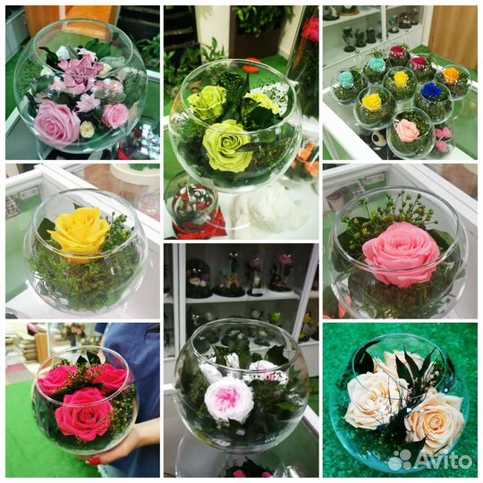 Роза в колбе оптом - много разных, от