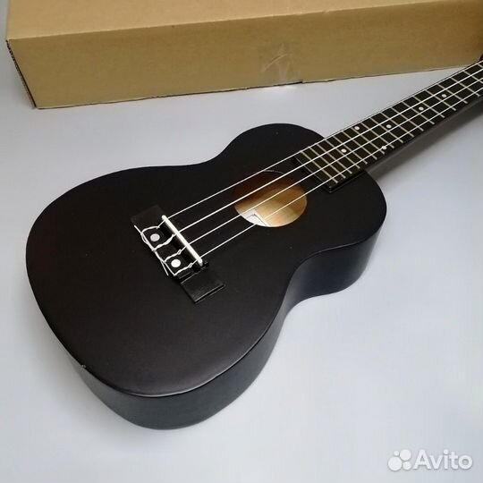 Укулеле концерт новая