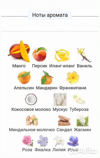 Richard Dirty Mango 100 ml