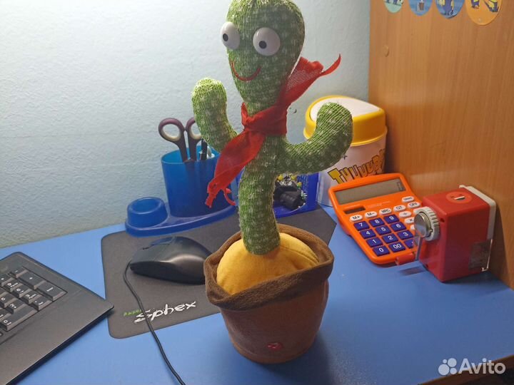 Говорящий кактус