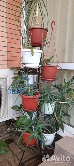 Подставка для 9 цветов с цветами