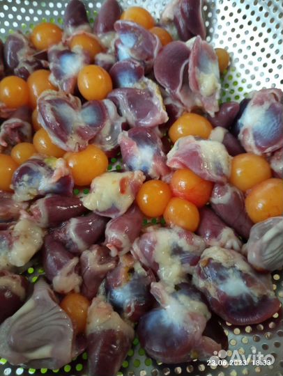 Мясо перепела, яйцо, утки, куры, индейка