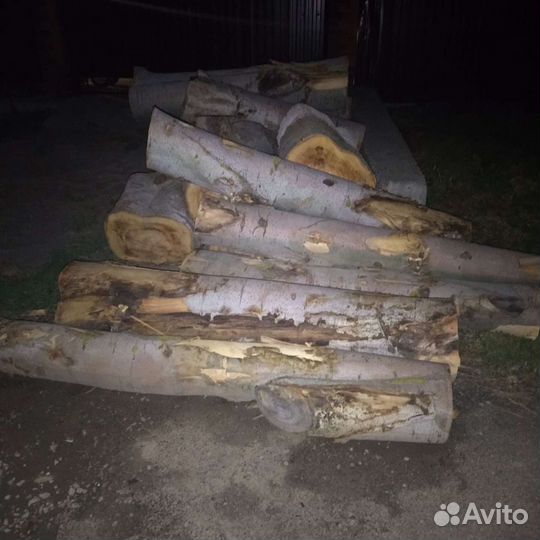 Спил тополь