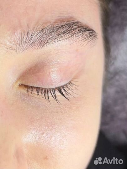 Мастер бровист, ламимейкер