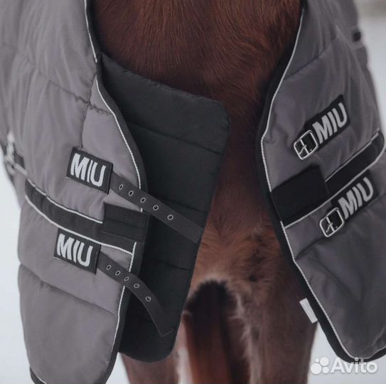 Попона для лошади 155