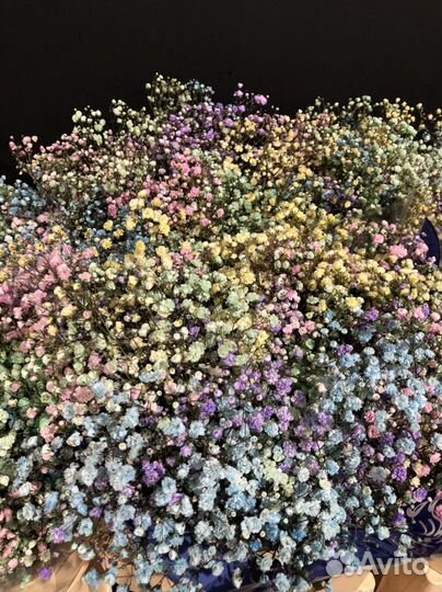 Гипсофила букет