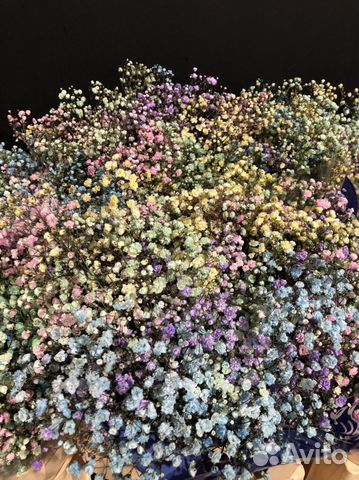 Гипсофила букет