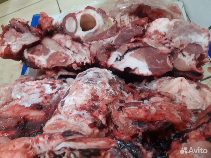 Нубийские % Козочки. Дойные козы