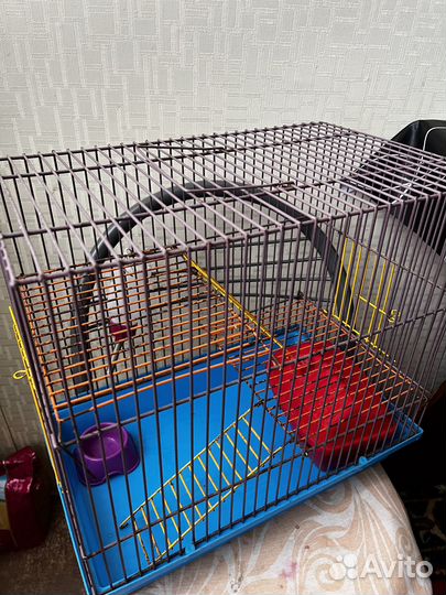 Клетка для грызунов бу