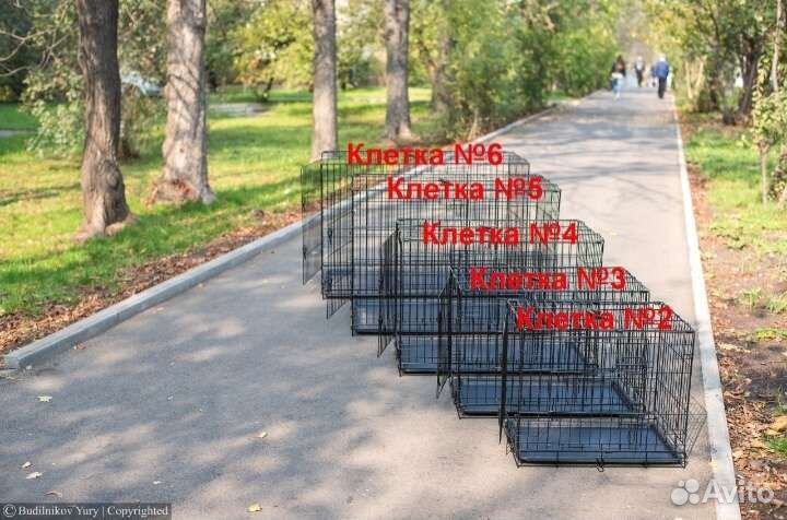 Клетка для собак и кошек