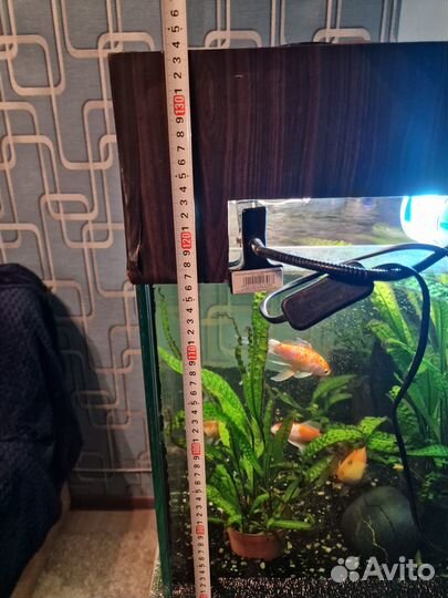 Аквариум