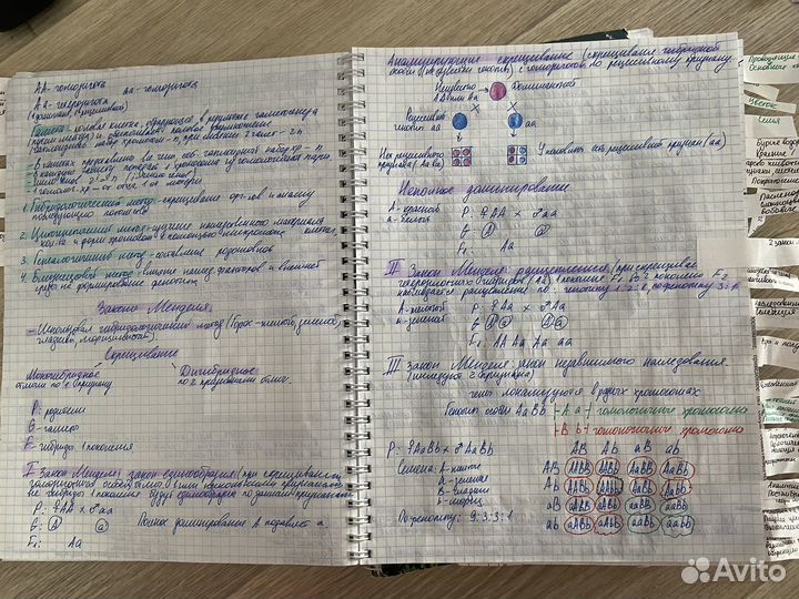 Материал для подготовки к егэ по биологии
