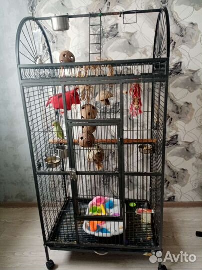 Клетка для крупного попугая