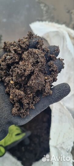 Навоз навал доставка