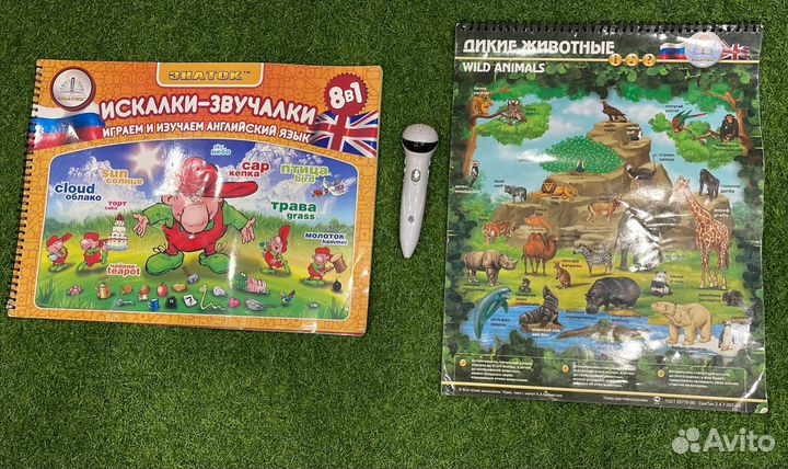 Идеальный набор с говорящей ручкой 