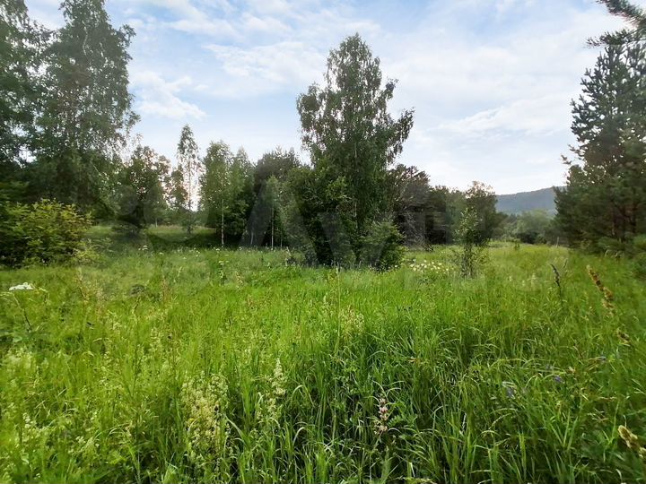 Участок 21,5 сот. (СНТ, ДНП)