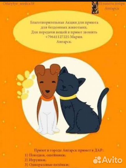 Приют для собак умоляет о помощи