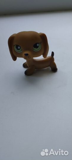Littlest pet shop