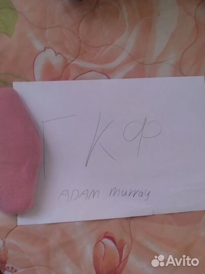 Фурсьют голубя - обмен