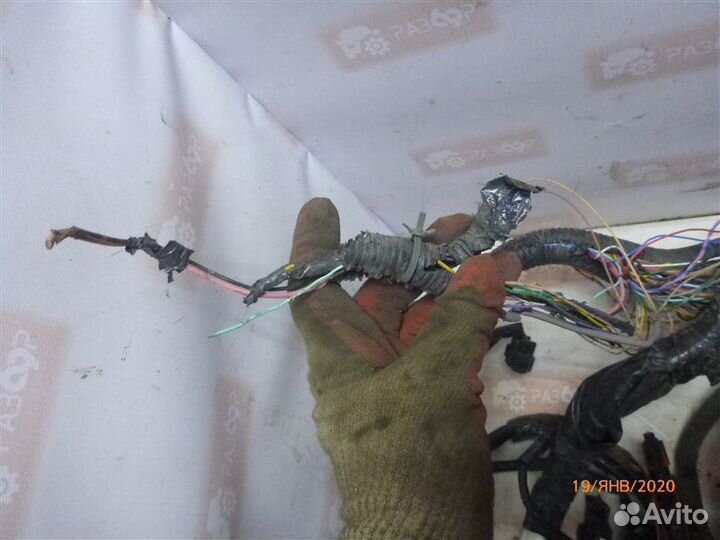 Проводка моторного отсека Infiniti Fx37 S51