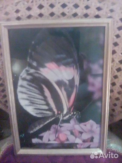 Рамка плюс фотография