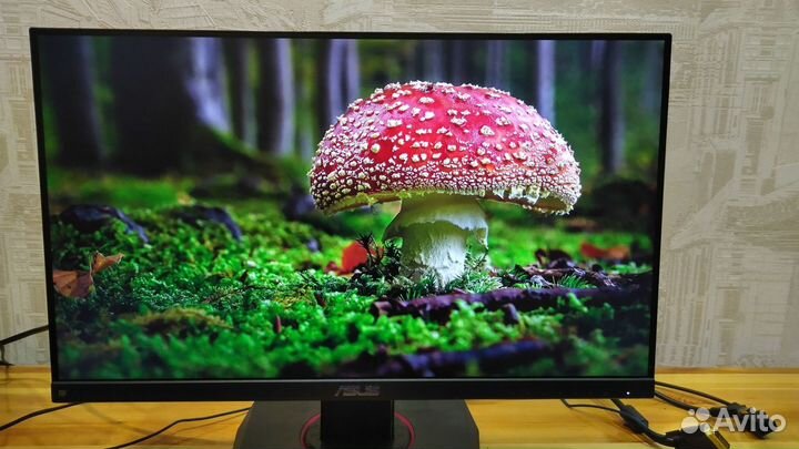 Мониторы игровые 2к 144гц