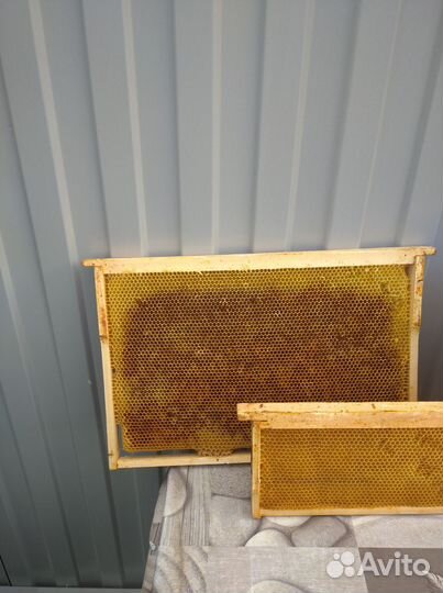 Рамки с сушью