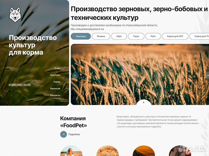 Создание сайтов - Продвижение сайтов и Реклама