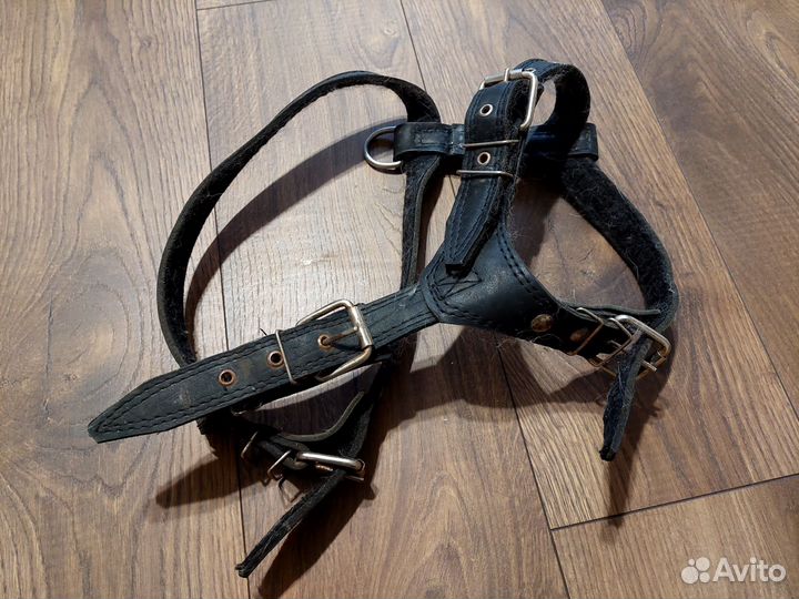 Снаряга для собак