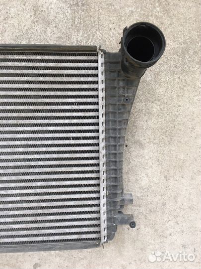 Радиатор интеркулера Audi A3 8P (3616)