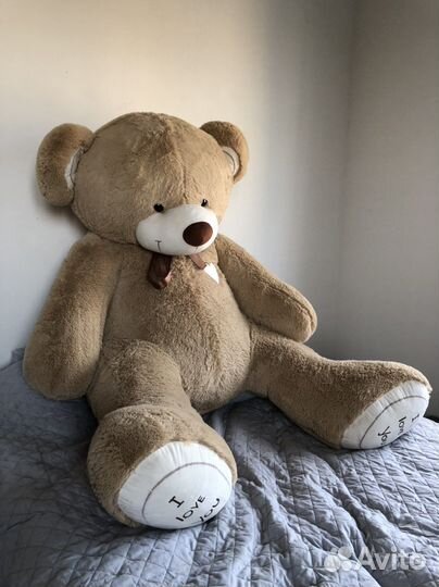 Плюшевый медведь