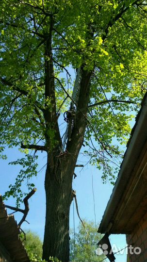 Расчистка участков