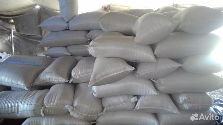 Гаммарус (мормыш) сухой в розницу и оптом