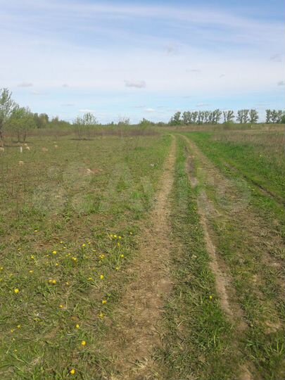 Участок 12,5 сот. (ИЖС)