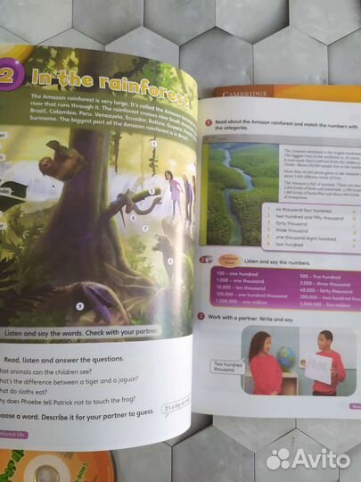 Super minds 5. Новый комплект