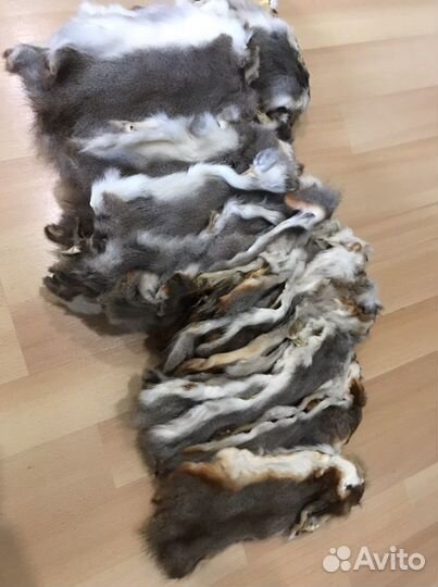 Шкурки белки