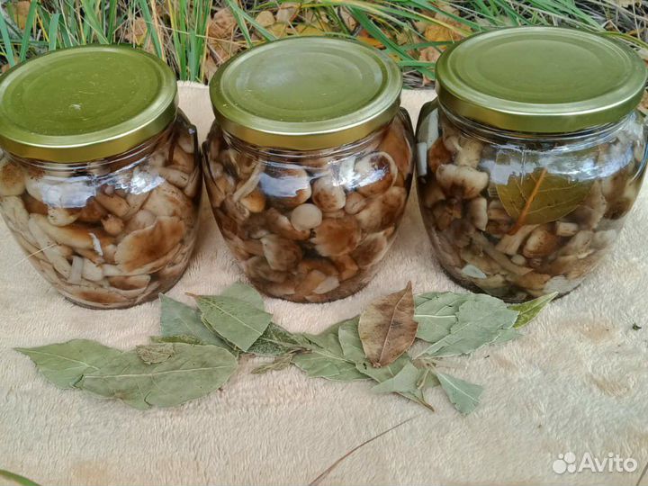 Грибы маринованные