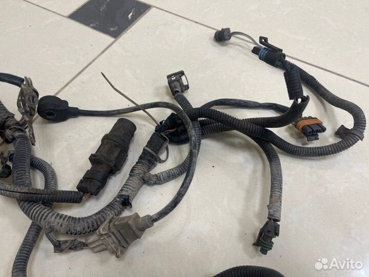 Проводка двс Chevrolet Lacetti хетчбек F16D3 2008