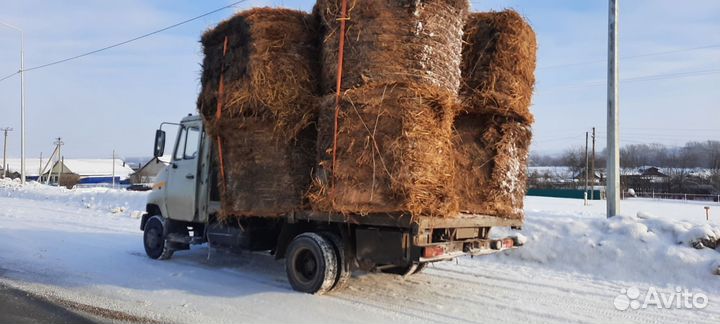 ЗИЛ 4105 7.7 AT, 1999, 200 000 км