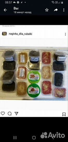 Черви для рыбалки,доставка по адресу