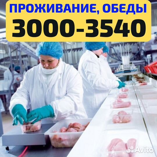 Выезд из Чебоксар, вахта Нижний Новгород упаковщик