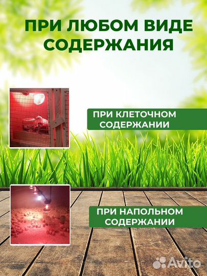 Лампа инфракрасная