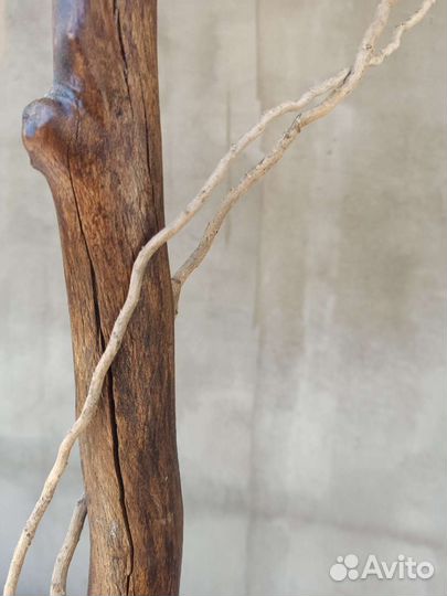 Олива искуственная с плодами. Искусственное дерево