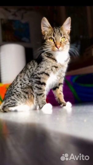 Выкинули на холод