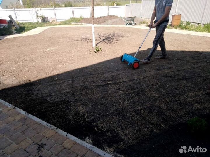 Посевная трава