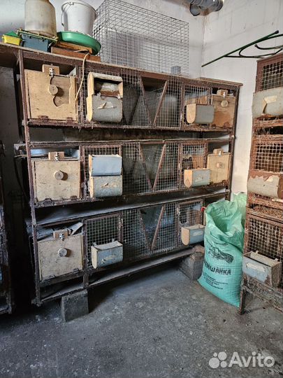 Клетки для кроликов бу