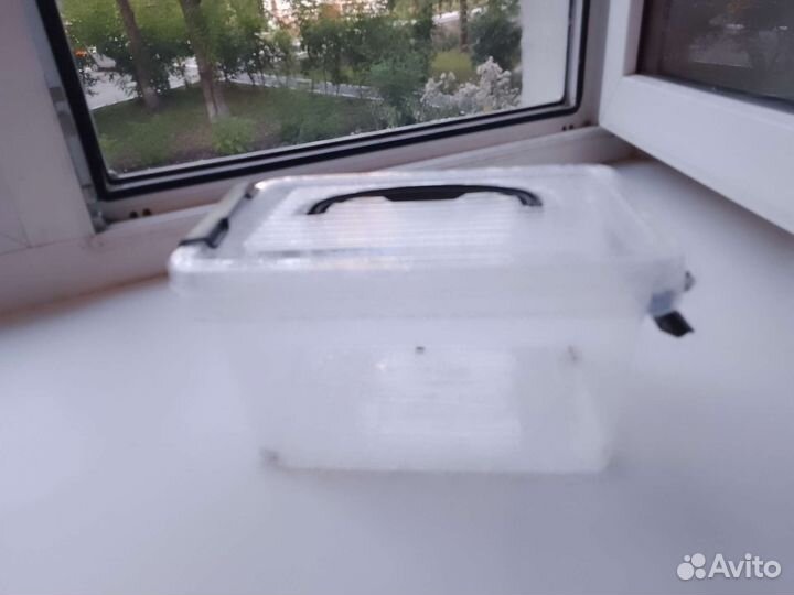 Товары для грызунов