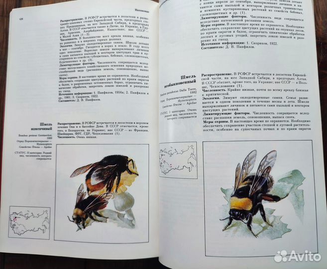 Красная книга животные, насекомые