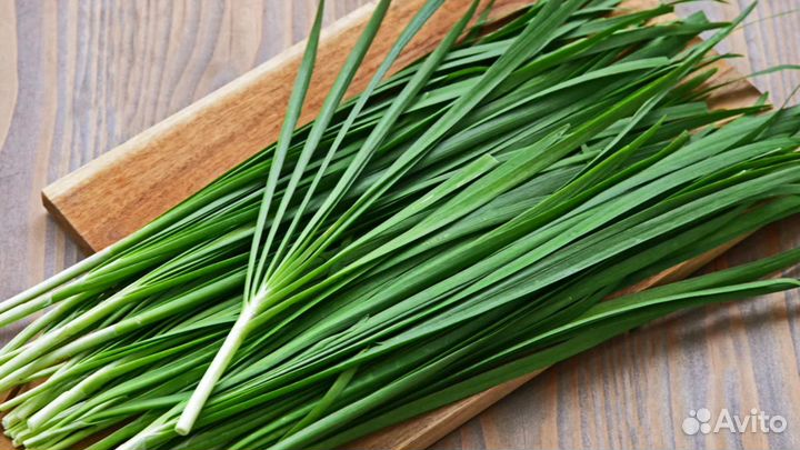 Душистый зелен. лук Джусай